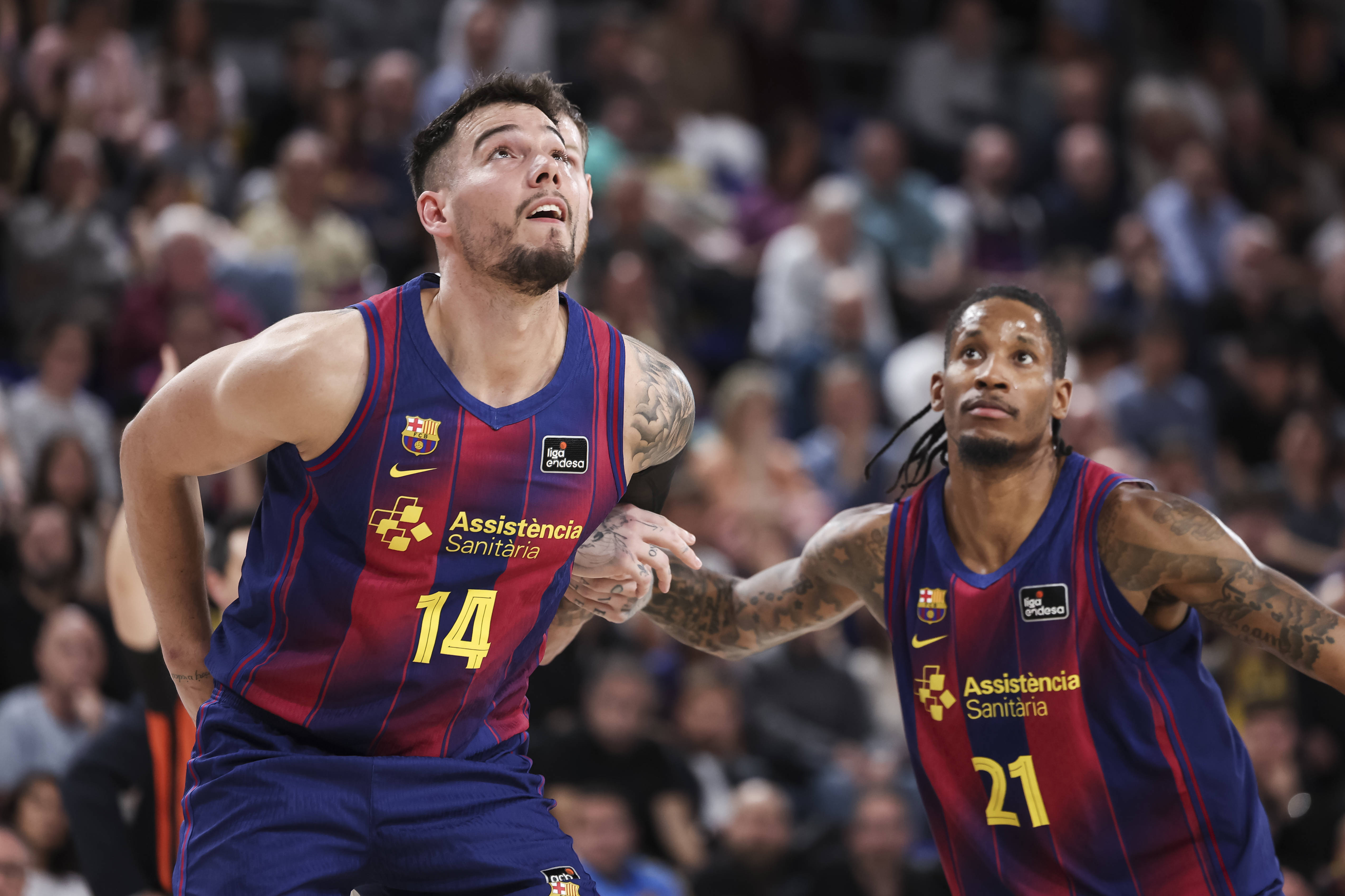 pronosticos acb hoy barcelona basket